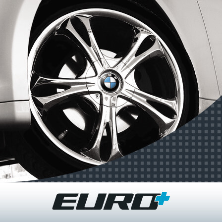 Euro+ content image